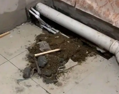 稷山卫生间漏水检测哪家好