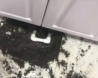 稷山查漏水哪家好
